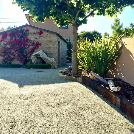 Апартаменты Petru-maria *