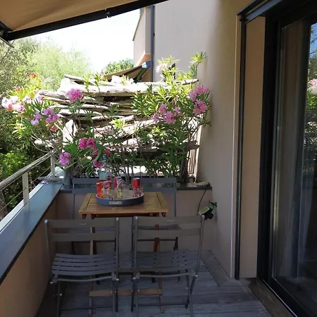 Апартаменты Petru-maria