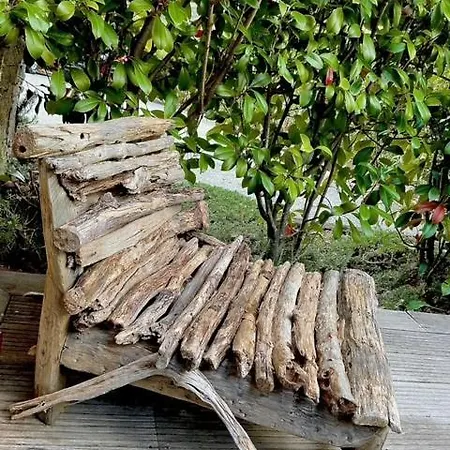 Petru-maria * Проприано