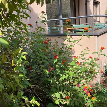 Petru-maria Propriano (Corsica)