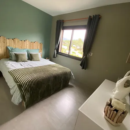 Petru-maria Apartment *
