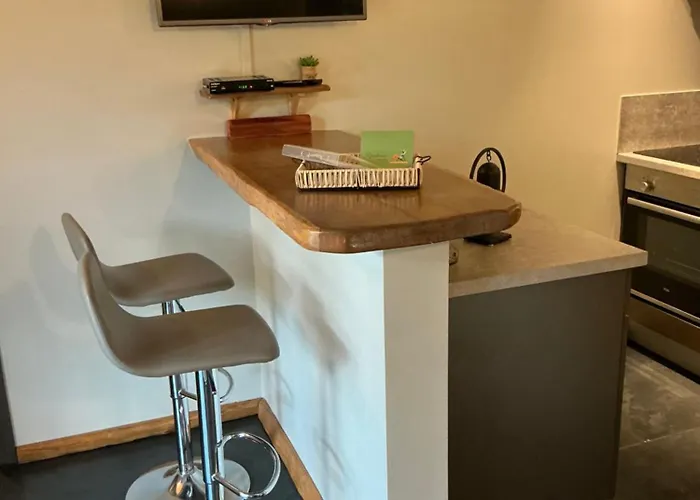 Petru-maria Apartment *