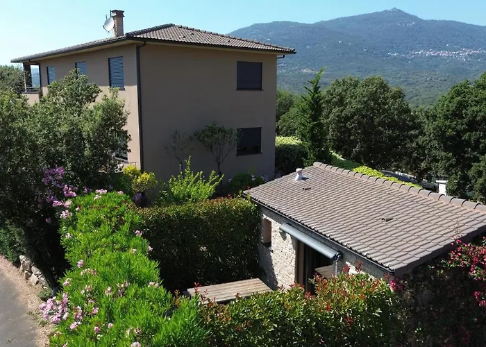 Petru-maria Apartment