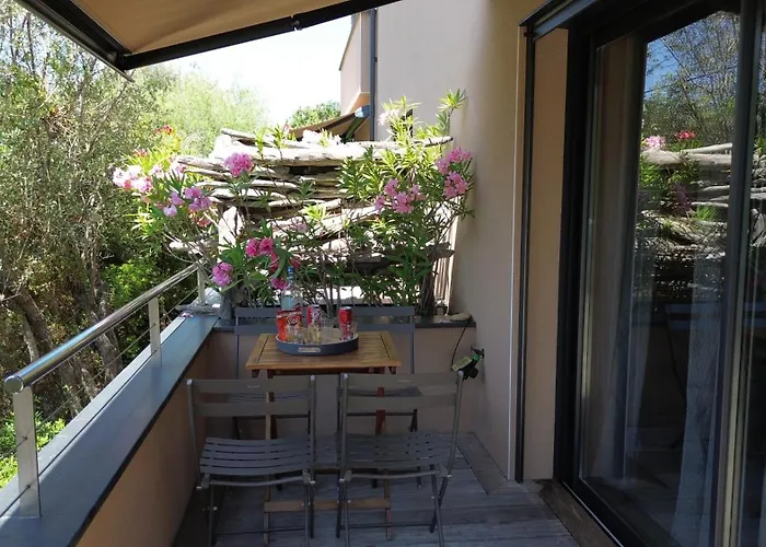 Apartment Petru-maria