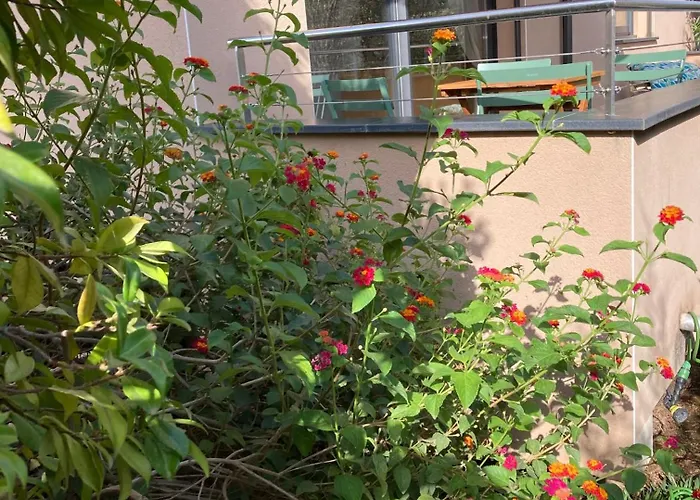 Petru-maria Propriano (Corsica)